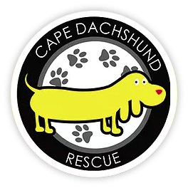 cape dachshund rescue