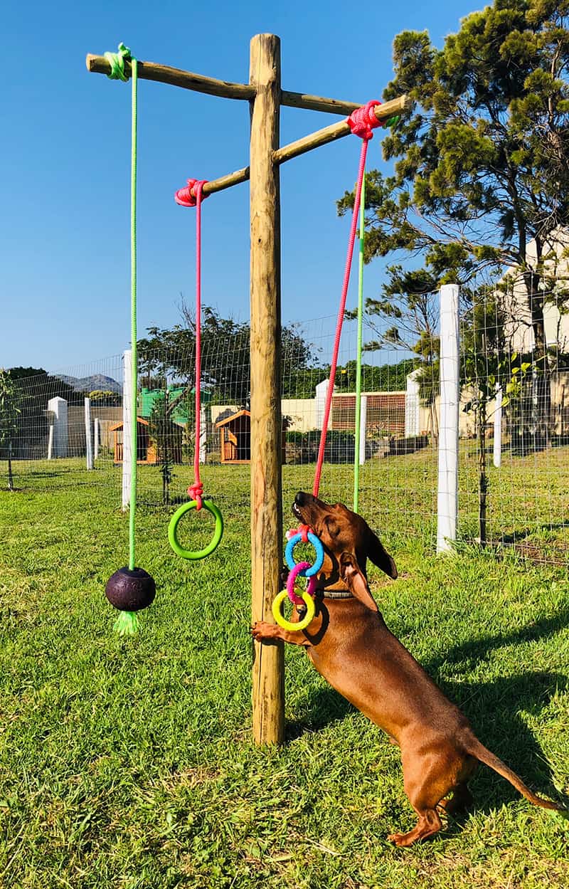 playtime playtime fun