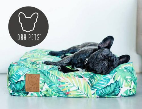 Ora Pets Recommends Vienna s Village